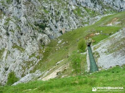 Ruta del Cares - Garganta Divina - Parque Nacional de los Picos de Europa; viaje mayo